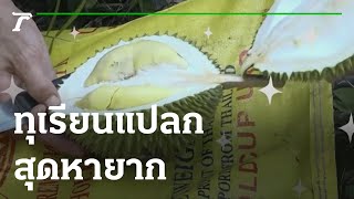 ทุเรียนแปลก หาดูยาก | 26-07-65 | ตะลอนข่าว