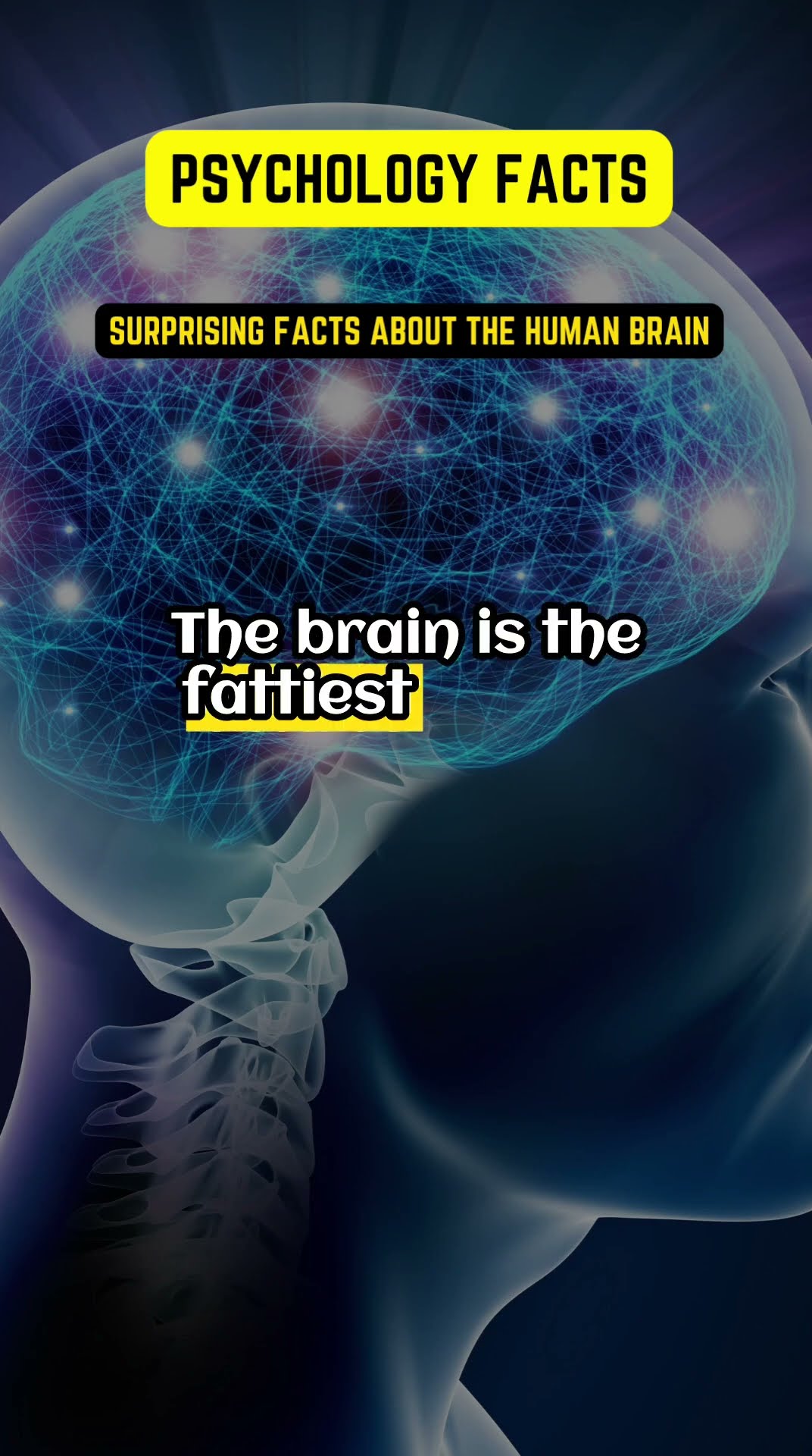 Surprising Facts About The Human Brain #surprisingfacts # ...