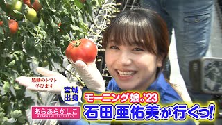 【石田亜佑美が行くっ！名取のトマト編　予告動画】