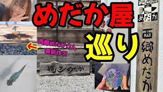 【メダカ】メダカ屋と無人販売とイベントを満喫してきました‼️  メダカ巡りパート1 in岐阜〜