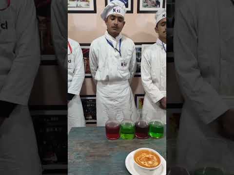 Cheese Tomato Dish Presentation | Practical Session Indian Cooking Course – NFCI Culinary Institute