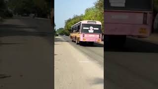 Namakkal Bus Mass | Government Bus | Namakkal to Paramathivelur #shorts #trending #bus