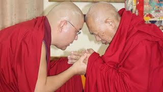 སྐྱབས་རྗེ་ཡོངས་འཛིན་གླིང་མཆོག་སྤྲུལ་རིན་པོ་མཆོག་ནས་༸སྐྱབས་རྗེ་རྟོགས་ལྡན་རིན་པོ་ཆེ་མཆོག་མཇལ་བཅར་སྐབས།