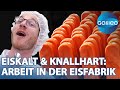 Dieser Job ist kein Eis-Schlecken: So anstrengend ist die Eisfabrik | Galileo | ProSieben