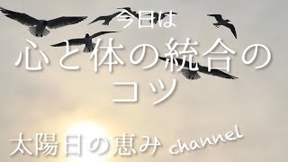 見るだけで浄化と運気が舞い込む太陽とヒーリングエネルギーを届けます。並木良和さんの統合に必要な心と身体の統合には、運動が必要不可欠。運動がニガテな人でも簡単に習慣にする方法をお伝えします。