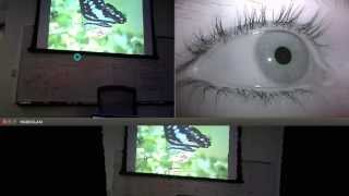 Headset Eye tracking - 3D Heatmaps