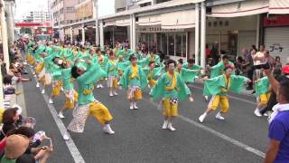 第61回よさこい祭り本祭2日目(2014/8/11)「青ノ春」