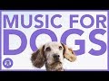 Music For Dogs 15 Hours Of Dog Relaxation