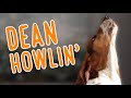 Dean HOWLIN'! 2020 Howling Compilation