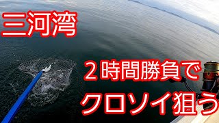 【三河湾ボート釣り】ジグヘッドでクロソイ狙う