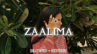 Zaalima [Slowed +Reverb] Arijit Singh | Lofi Song | #lofi #slowedreverb