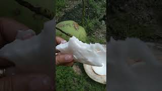 MILKY FRESH BUKO #asmr #shorts #viral #trending #yputubeshorts