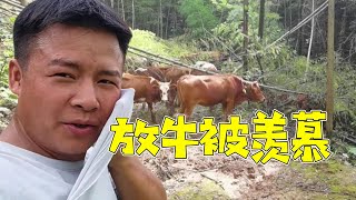 小伙山里放牛，不是抓甲魚就是抓螃蟹，這樣的日子讓人羨慕【石頭秀】