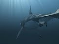 great white shark animation