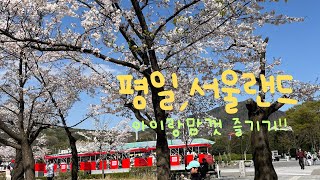 [평일 서울랜드 리뷰] 서울랜드 그리고 서울대공원 enjoy