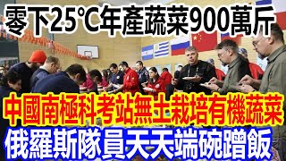 零下25℃年產蔬菜900萬斤，中國南極長城科考站無土栽培種出蔬菜，俄羅斯隊員天天端碗蹭飯