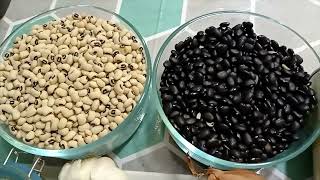 ASSORTED BEANS STEW  (Black beans \u0026 Blackeye Peas ) “yorke gari” AKA \