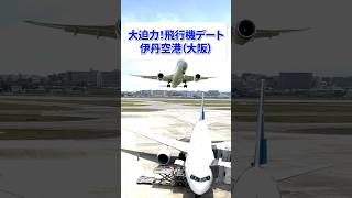 大迫力！飛行機デート【大阪編】伊丹空港 #デートスポット #大阪デート #大阪国際空港 #千里川土手 #伊丹空港