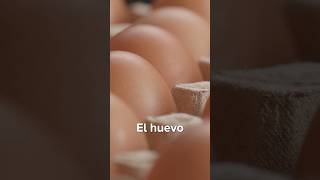 El HUEVO es un Superalimento para tu CEREBRO