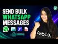 Send Bulk WhatsApp Messages with Images, Videos & PDFs