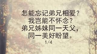 选本诗歌 第599首 怎能忘记弟兄相爱？