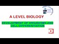 A level | Biology | Topic 3C | Development of organisms and cell differentiation | Pearson Edexcel