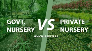 Government Nursery vs Private Nursery | Cheapest Nursery Near | Shop Time