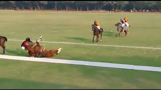 horse POLO fall