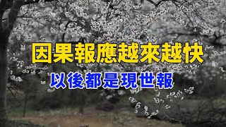 【真人真事】因果報應是真的！現世報什麼時候報？