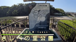 ほたるの里で、あえて川の濁流を眺めて楽しむ　きしべの里公園(和歌山県紀の川市)