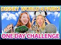 Disney World 4 PARKS ONE DAY Challenge