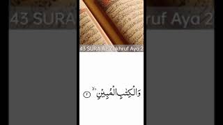 Surah Az Zukhruf  ki tilawat o tajweed sath ayat no 2 سورۂ* زخرف *  کا تلاوت و تجوید کے ساتھ
