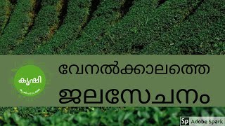 വേനല്‍ക്കാലത്തെ ജലസേചനം - watering tips at terrace garden to survive summer season