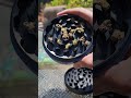 best extra large metal weed grinder 2024 dank 420 dankmemes stonersonly dankmemesdaily