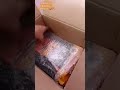 Unboxing : Kittibles Cat Food 📦✂️ ... 1 kg chicken tuna flavour recipe ... 😺