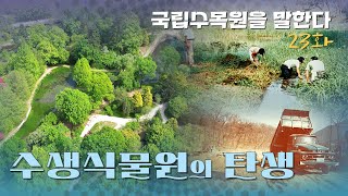 수생식물원의 탄생 [국립수목원을 말한다 23화]