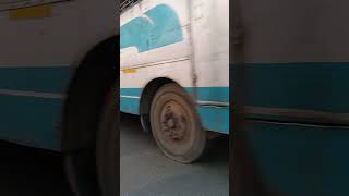 ആനവണ്ടി #shorts #ksrtc #todayshorts #youtubeshorts