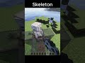 Minecraft Skeleton #minecraftshorts #minecraft