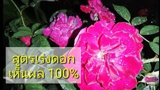 ไม่ง้อปุ๋ยเคมี : สูตรเร่งดอก เห็นผลจริง