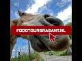 Food Tour Brabant