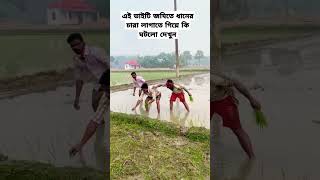 এই ভাইটি জমিতে ধানের চারা লাগাতে গিয়ে কি ঘটলো #funny #shortsvideo #comedy #lovesong #shortsvideo