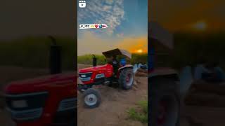 Arjun Tractor video #shorts #viral #tractor #video #farmer #trending #arjun #explore #status #555
