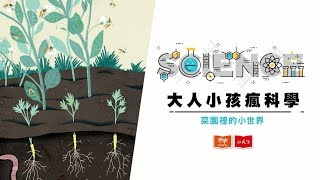 大人小孩瘋科學－ 《菜園裡的小世界》