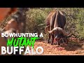 Josh Bowmar Bowhunts A MUTANT Cape Buffalo | BEAST BROADHEADS |