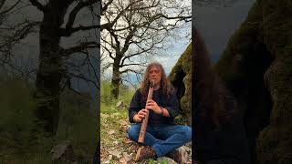 Native American Flute Music at the Forest - Meditation Relaxing Earth Music