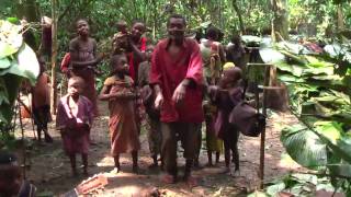 Baka Pygmy guitarists in the cameroon rainforest