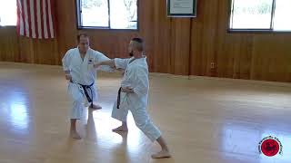 Intermediate Kihon techniques