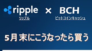 【XRP×BCH】リップルは5月末～6月にこうなれば買う。