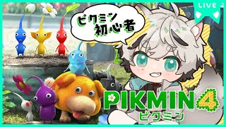 【ピクミン４】➊とにかく増やせばいいって聞きました。【初見】