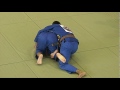 dumau open2011　福住柔術（2日目アダルト茶レーヴィ）